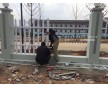 PVC護欄-現貨南京PVC圍欄批發-南京律和護欄網廠